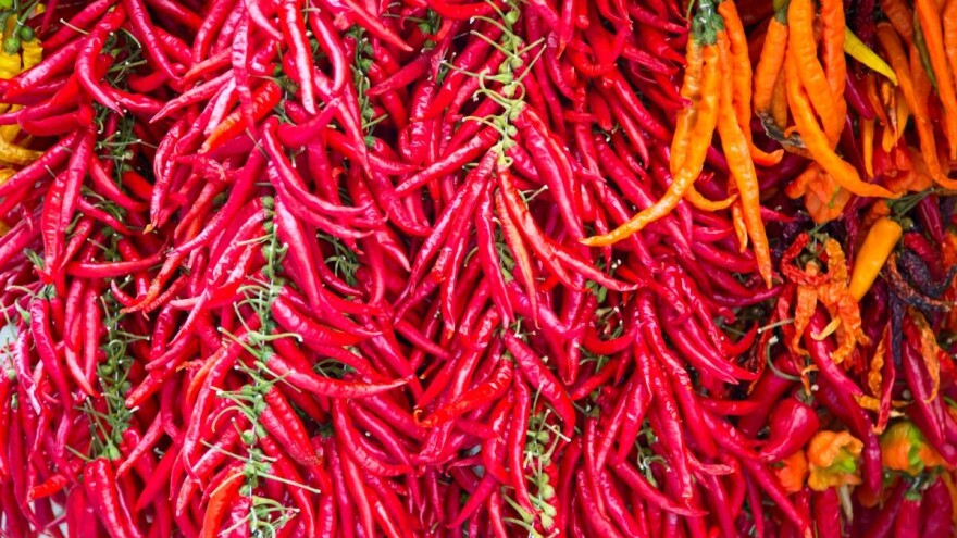 Kada brati papriku za sušenje i kako je najbolje osušiti