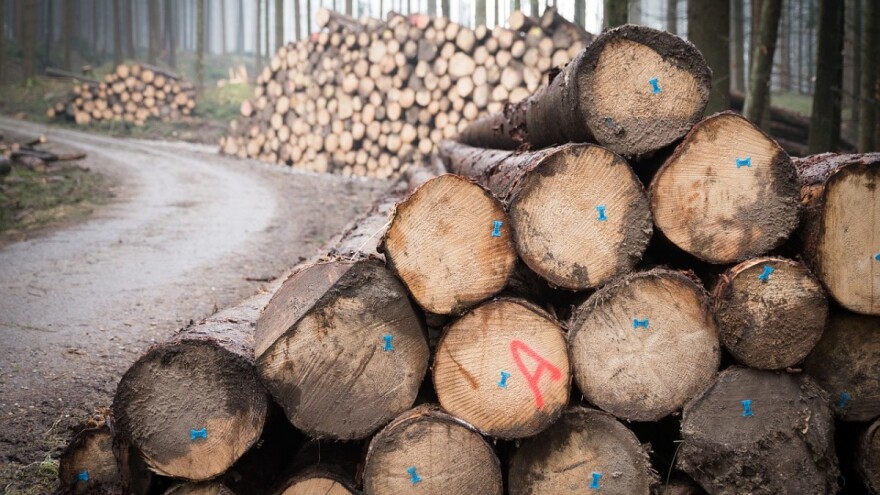 Hrvatske šume odobrile sirovinu za 50 novih kupaca