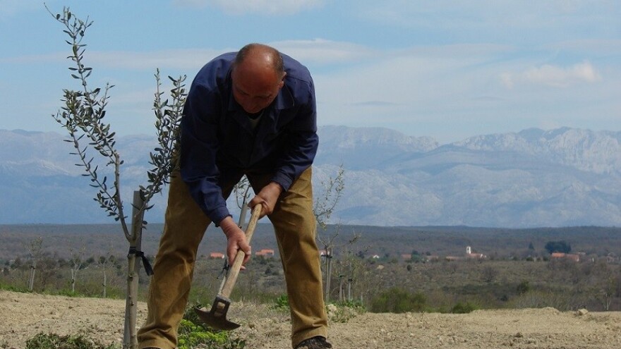 Ajmooo... svi motike u ruke!