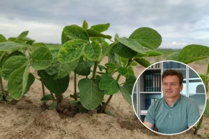 Analizom zemljišta do uštede na đubrivima i proizvodnje sigurne hrane