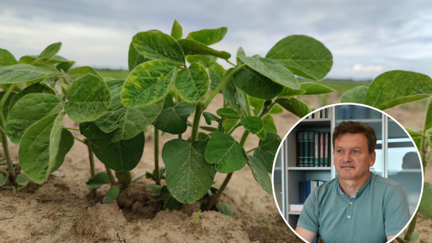 Analizom tla do uštede na gnojivima i proizvodnje sigurne hrane