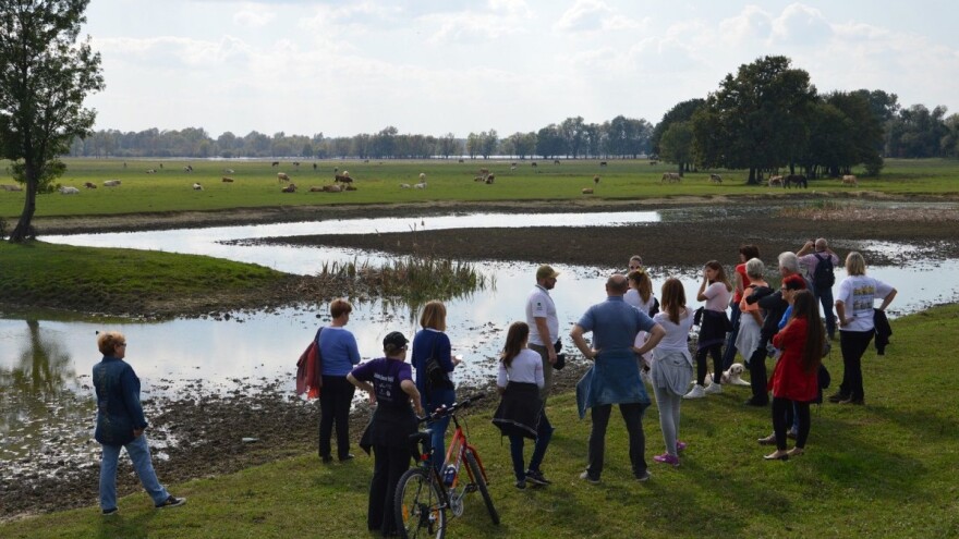 Posjetite 3. Festival gljiva i ljekovitog bilja u Parku prirode Lonjsko polje