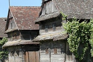 Posjetite Lonjsko polje!