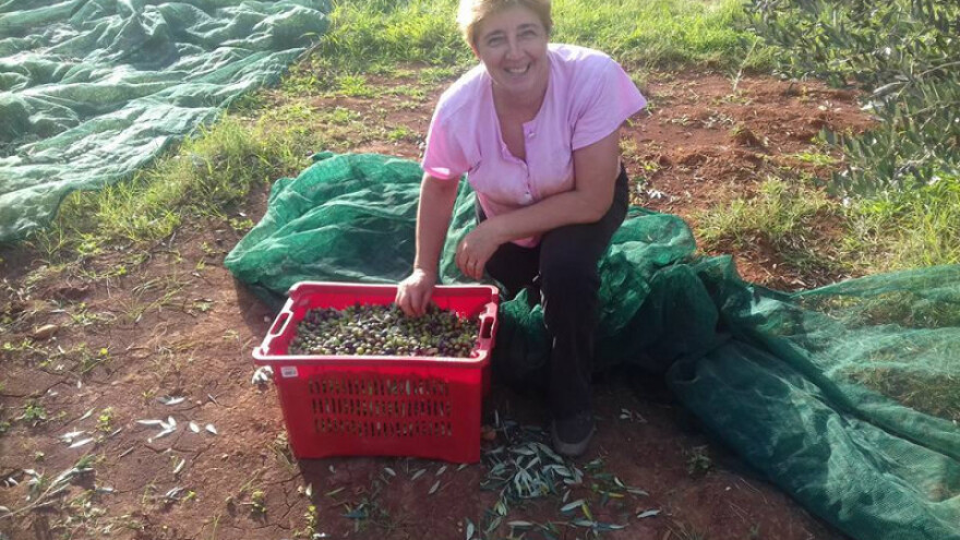 Ne dajte se obeshrabriti, bitna je volja i komad zemlje