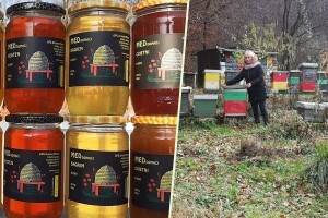 Hobi pretvorili u posao: Na OPG-u Mikelec od meda proizvode i sirup Kašljucko