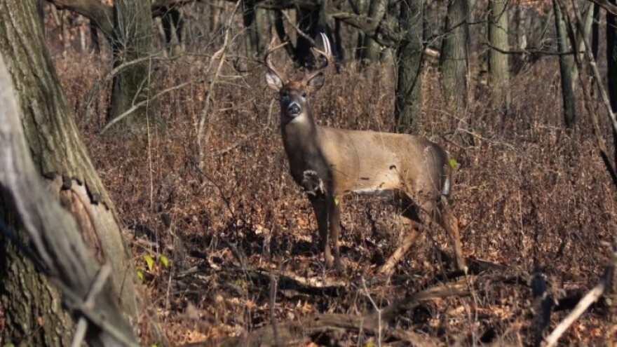 Lov kao dodana vrijednost