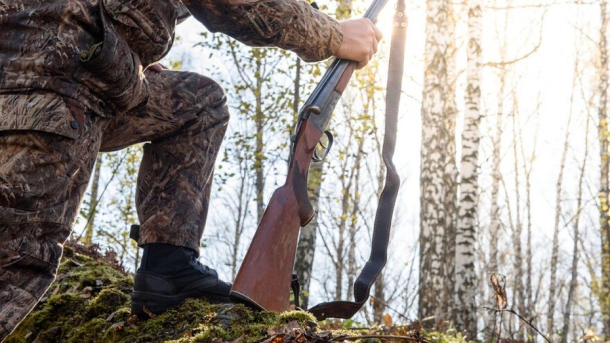 Pojačan lov i krivolov - jedni pune zamrzivače iz dosade, drugi se bore za goli život