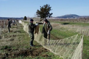 Ribljim mrežama u lov zečeva tradicija je koja nestaje jer ove divljači - nema