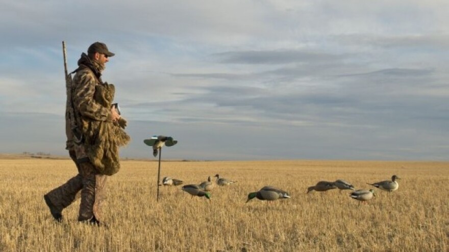 Lovci ogorčeni zbog gubitaka lovišta