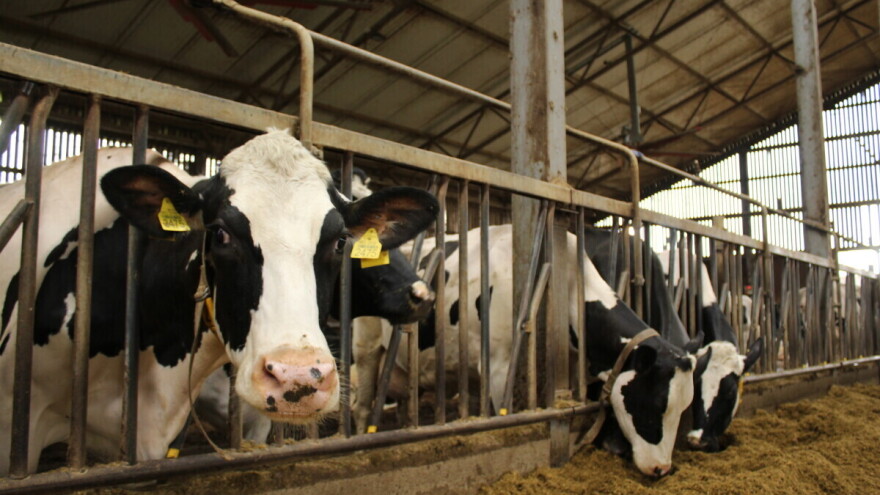 19. Savjetovanje uzgajivača goveda u Republici Hrvatskoj i 1. Izložba hrvatskih kravljih sireva