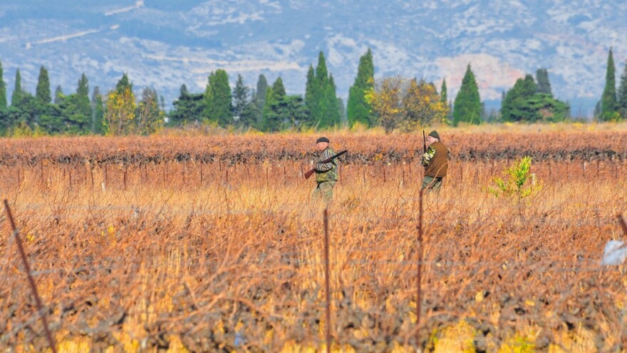 Štete lovaca na usjevima rješive i nadoknadive!