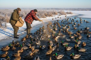 Lovci i ornitolozi nahranili ptice močvarice
