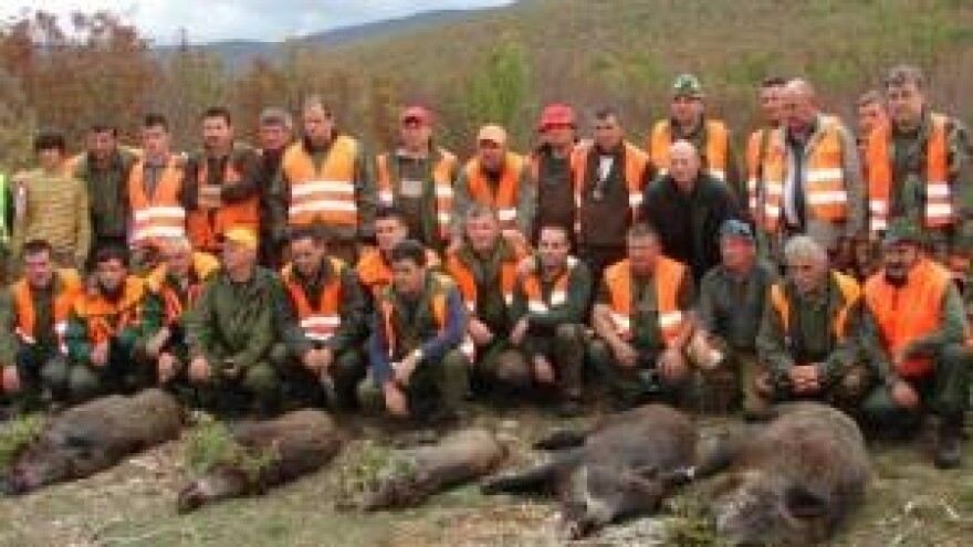 Lovci na divlje svinje u Zagori