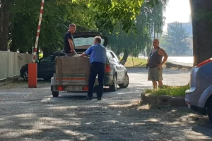 Krmača se predomislila: iskočila iz prikolice i napravila pravi kaos