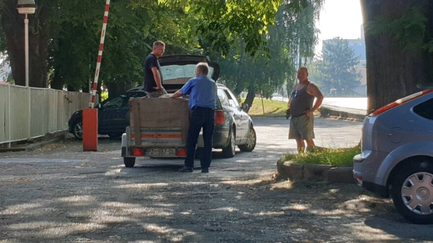 Krmača se predomislila: iskočila iz prikolice i napravila pravi kaos