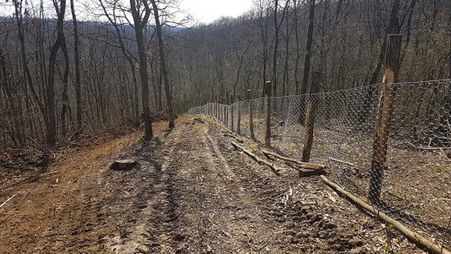 Naseljavanje divljih svinja na Lovačko imanje do kraja aprila