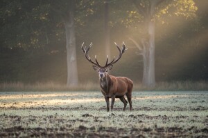 Lovni turizam iznimno važna poluga razvitka gospodarstva