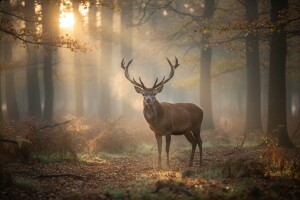 Lovni turizam kao po špagi!