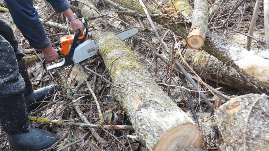Šumokradica napao lovca - ovaj pucao da se zaštiti?