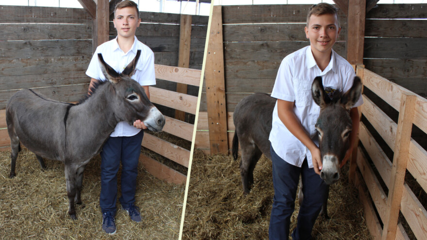 Mladi Lovro otkriva: Moja magarica Smokvica sve jede - voli voće, pije soka, a nekad i pivu