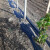 Kako saditi vinovu lozu hidroburom?