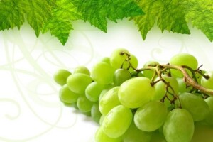 Sajam i izložba zagorskih vina