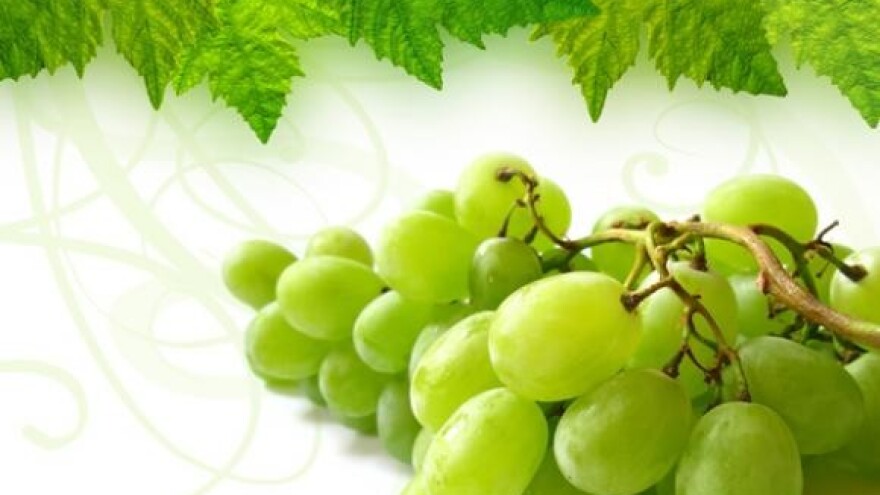 Sajam i izložba zagorskih vina