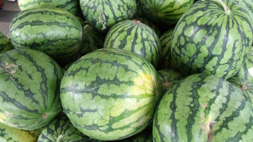 Rusija izvozi lubenice - u 2017. godini 34.000 tona, ove sezone očekuju rekordan broj