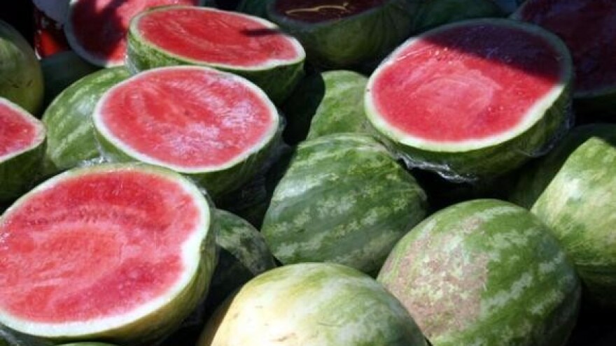 Lubenica po kunu uništava seljaka