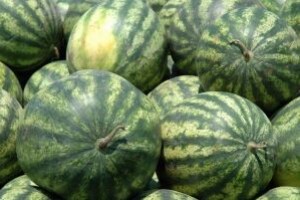 Pepelnica u vrtovima i okućnicama