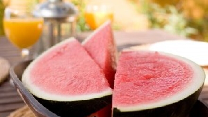 Na Neretvi zbog tuče u svibnju slabiji urod lubenica