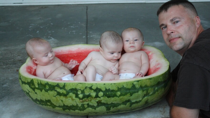 Trojke stale u lubenicu posejanu nekoliko dana nakon što su se rodile