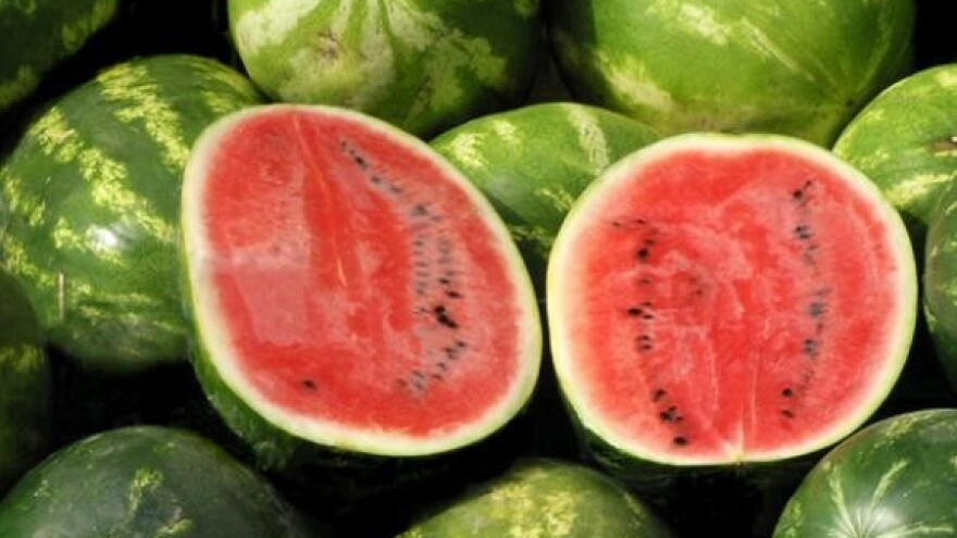 Lubenice na putu do tržišta