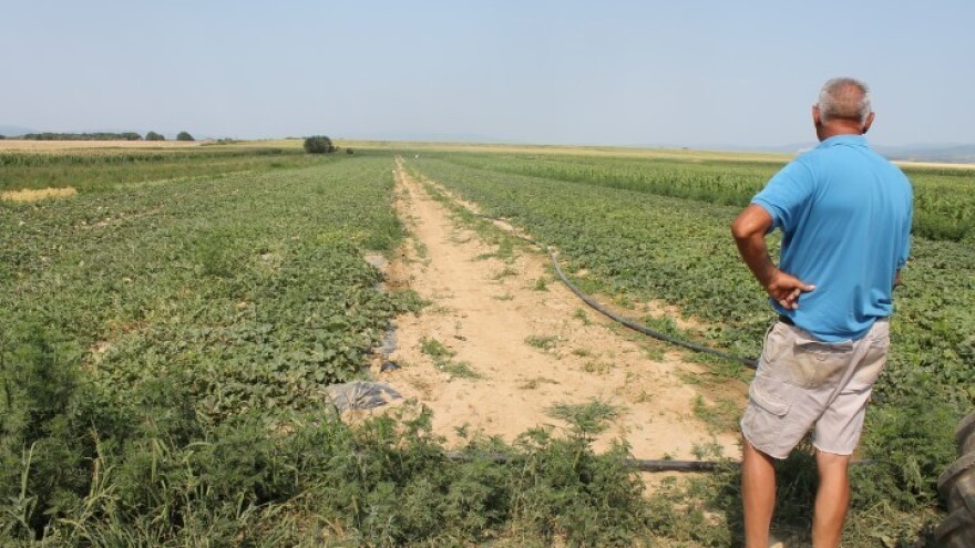 630 tisuća kuna za proizvodnju povrća