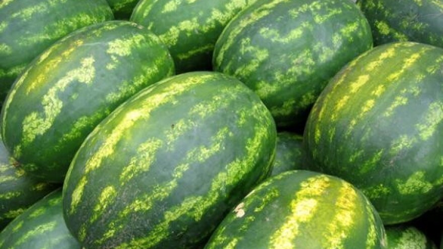 Proizvođači lubenica zadovoljno trljaju ruke