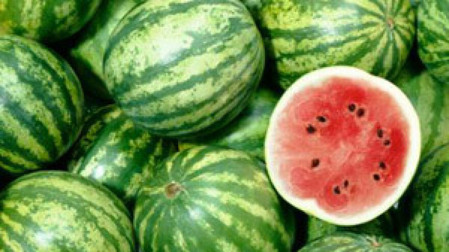 Lubenice iz Zlatne doline pune i trgovačke centre