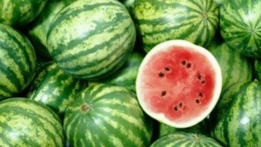 Isplaćeno 2 milijuna kuna za dva nova završena IPARD projekta