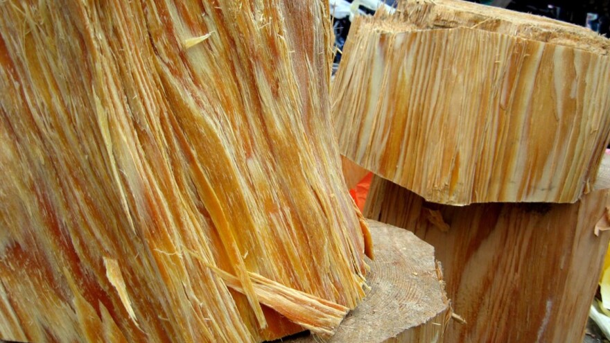 Luč - drvo za potpalu i poštovanje!