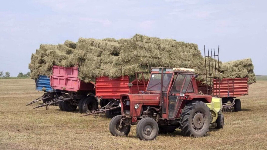 Kvalitet lucerke bolji i više otkosa nego prošle godine?