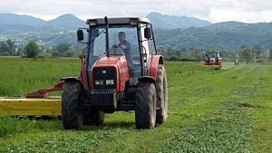 Lucerna - puno daje, malo treba