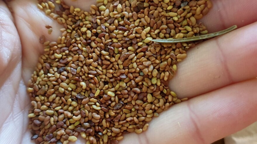 Uključite se u očuvanje starih sorti, njih četiri dostupno je besplatno