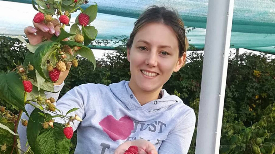 OPG Pustišek: Analiza tla i gnojidba dali su visoke prinose, brali smo još 22. studenog