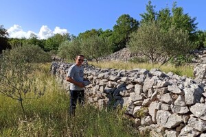 Lucijan Trogrlić: Masline i pčele s Biokova daju vrhunska ulja i med