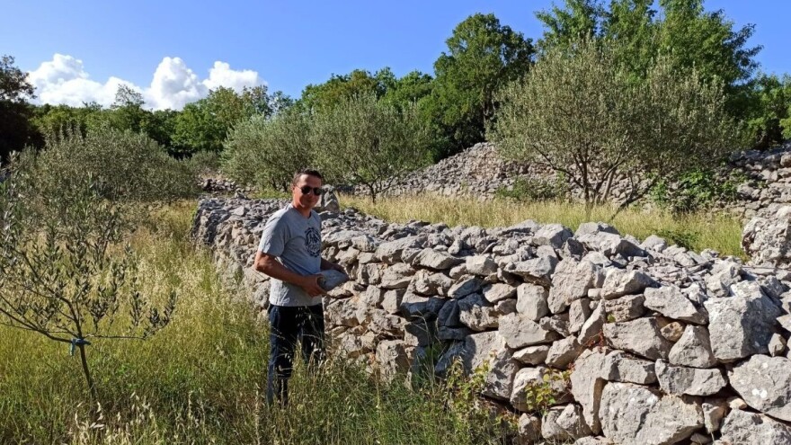 Lucijan Trogrlić: Masline i pčele s Biokova daju vrhunska ulja i med