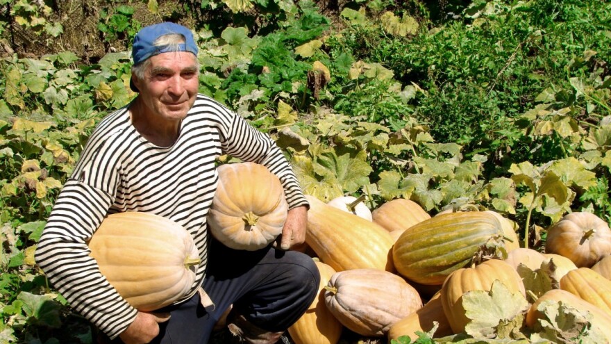 Najveća turistička manifestacija Kikinde "Dani ludaje" od 9. do 12. septembra
