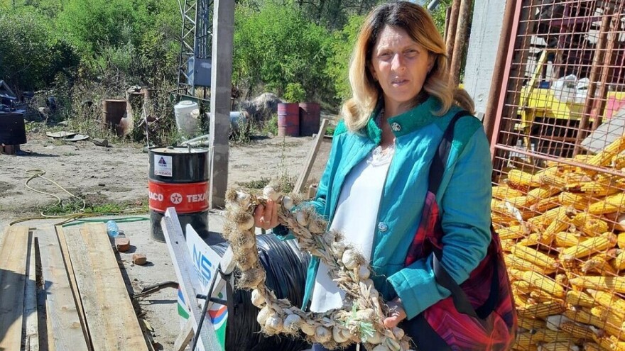 Na koji način povećati proizvodnju bijelog luka