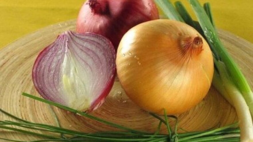 Zaštita bilja - Luk