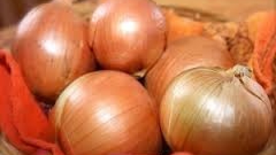 Zaštita luka i češnjaka