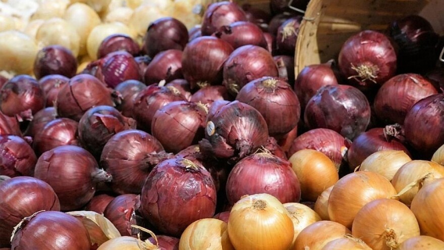 Tržište luka: Europski proizvođači zadovoljni indijskom zabranom izvoza, ali ne i urodom