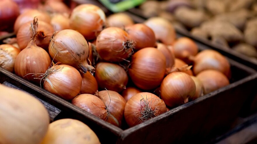 Novi hibrid luka tamno brončane boje i dobrih skladišnih svojstava